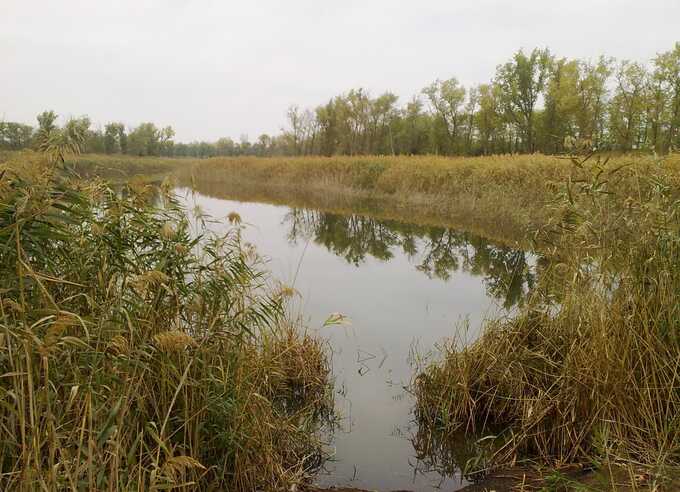 Прокурор помог отдать в частные руки кубанскую балку Водяная