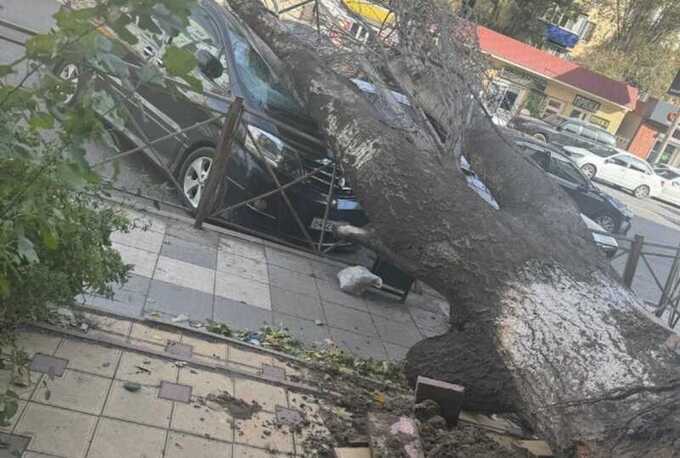 Ураганный ветер в Дагестане оставил без света десятки тысяч жителей