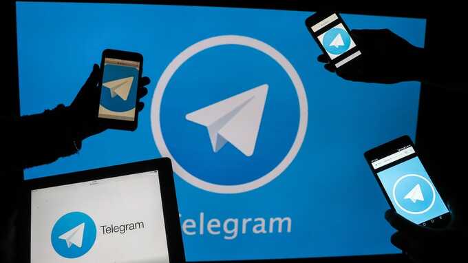 Власти Чечни выразили критику в адрес блокировки Telegram и потребовали разъяснений