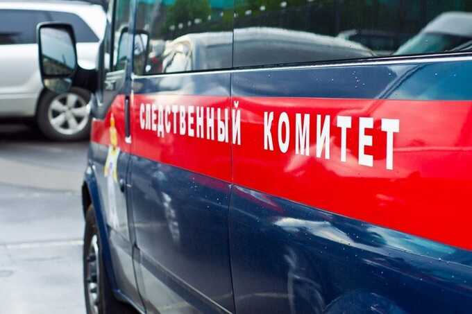 Мужчина расчленил гостью после того, как убил её шестилетнего сына