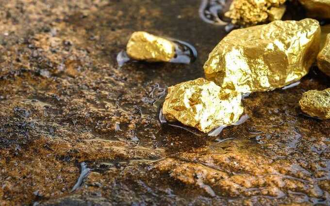 Фермер во Франции нашел на своей земле золото на сумму 3,5 миллиарда евро