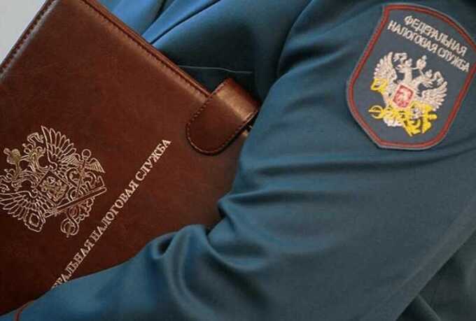 Серый кардинал Ольга Тарасова скрытно управляет налоговыми проверками в Курганской области