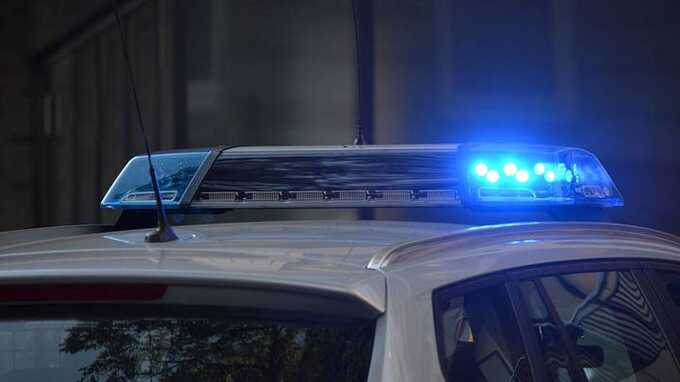 В Москве девушку насильственно усадили в автомобиль