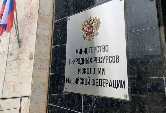Шувалов и ВЭБ вырубают лес у Байкала под видом его «реконструкции»
