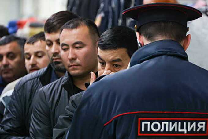 Миграционные рейды в Подмосковье стали «аукционом» — нелегалов отпускают за 15 тысяч рублей