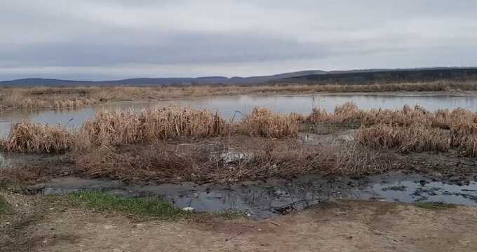 В Выдрино сбрасывают сточные воды в Байкал — река Снежная превращается в канализационный коллектор