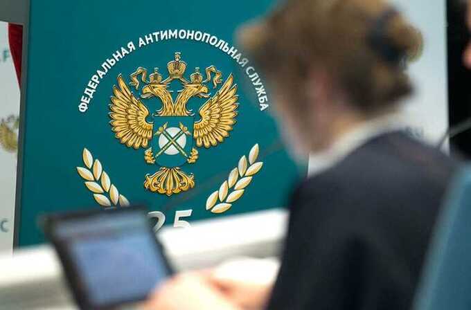 «Современные системы» и «Ангара Энерго» распределяли госконтракты, заявляет ФАС