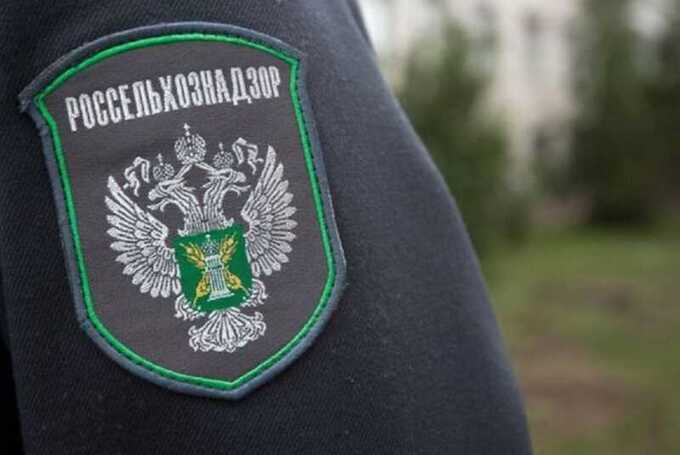 В ЯНАО Россельхознадзор обнаружил нарушения ветеринарных норм на крупной компании